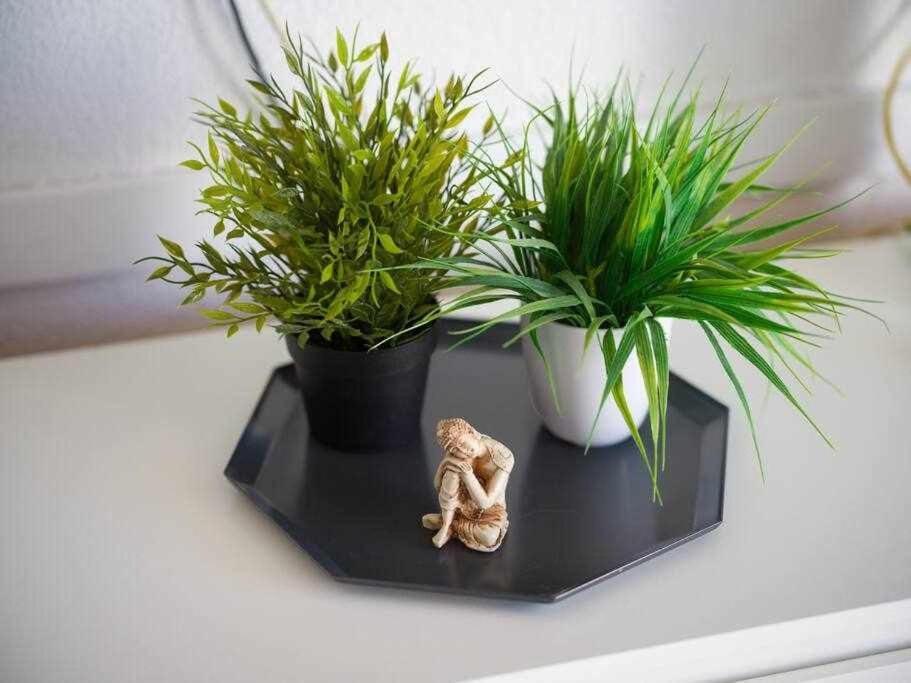 Marlenghi Apartments 818 San Bartolomé Ngoại thất bức ảnh